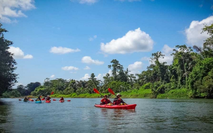 a group of kayaks are paddled by outward bound students on a body of water between tree-covered shores.